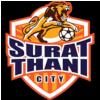 Surat Thani City