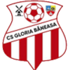 FC Agricola Borcea