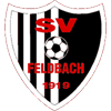 SV Feldbach