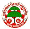 Techiman City